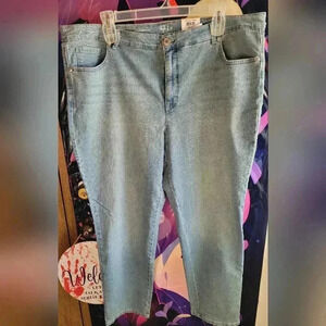🇺🇸BOGO🆓-NWT Style & Co Plus Size 24W Straight Leg High Rise Jeans